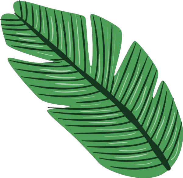  Tropical Plants Green Leaves Vector Tropical Leaf Png Tropical Leaf Png