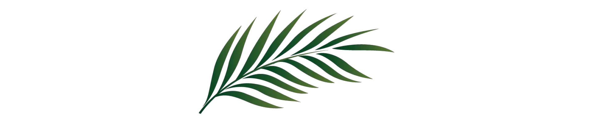  Palm Branch Image Free Cliparts That Palm Leaf Clipart Png Tropical Leaf Png