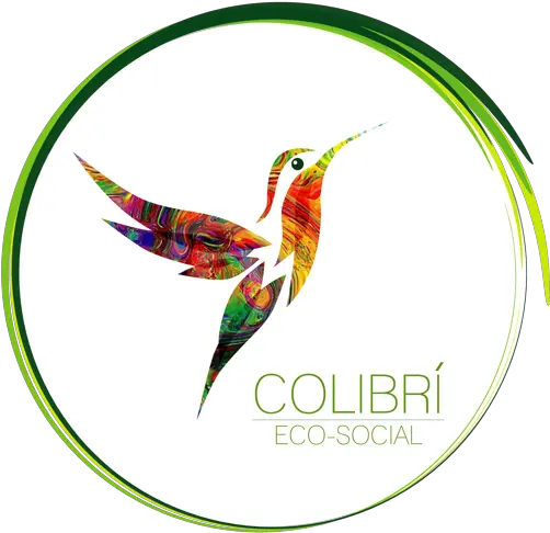  Logo Iso Colectivo Eco Social Colibri Eco Social Png Behance Logo Png