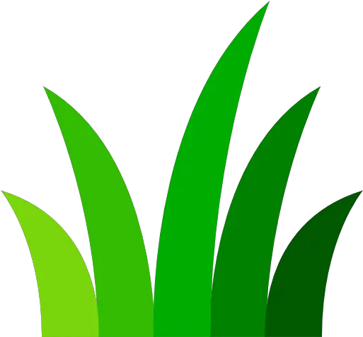  Grass Free Nature Icons Icon Turfgrass Png Grass Png