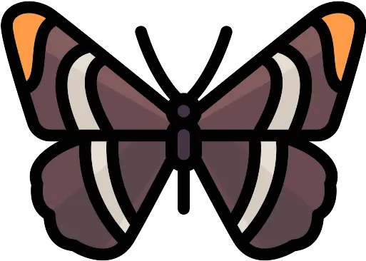  Butterfly With Circular Wings Shape Girly Png Butterfly Icon Image Girly