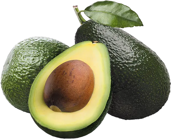  Download Avocado Png Hd Transparent Background Avocado Png Avocado Transparent Background