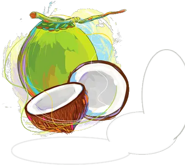  Download Free Fresh Coconut Green Image Icon Fresh Png Coconut Icon