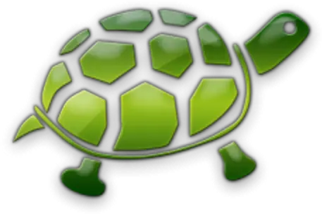  Blog Format U0026 Topics Safara Fisher Animal Figure Png Turtle Shell Icon