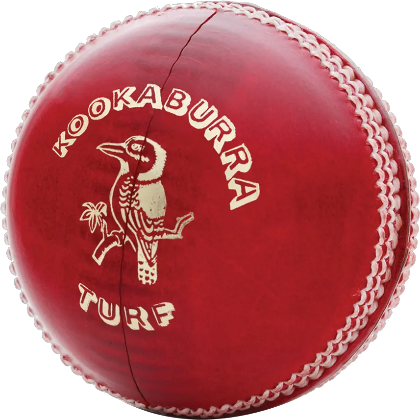  Cricket Ball Official Kookaburra Balls Information Kookaburra Cricket Ball Price Png Ball Transparent