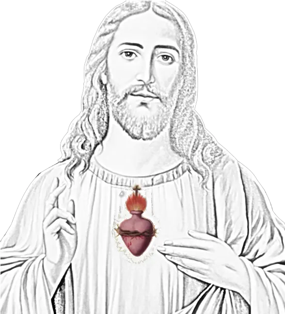  Novena To The Sacred Heart St Peteru0027s Church Religious Item Png Sacred Heart Png