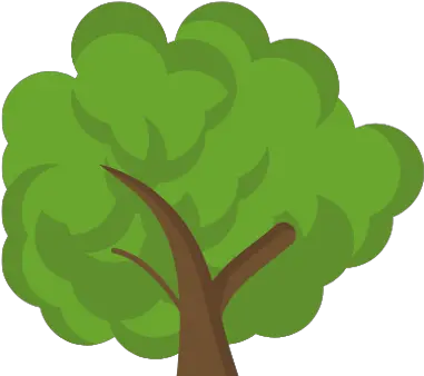  Why Choose Us Adam U0026 Eve Preschool Tree Png Adam And Eve Icon