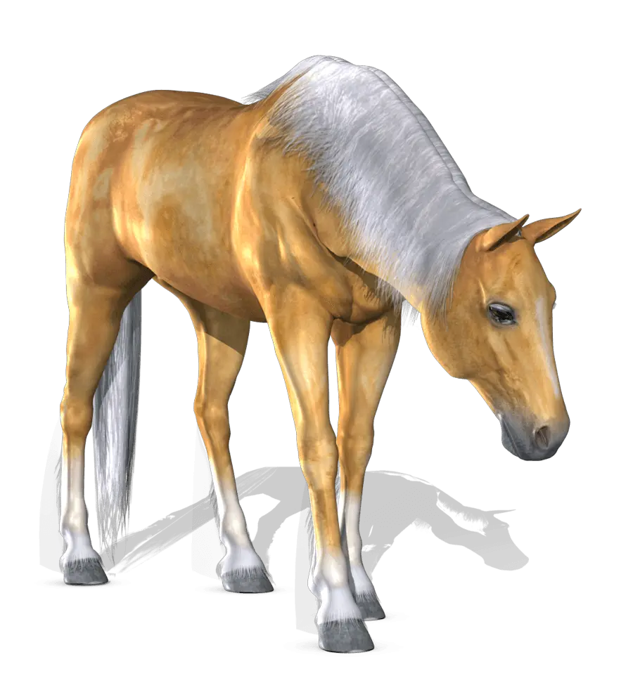  Horse Png Vector Hd Transparent Background Image For 3d Horse Png Horse Transparent Background