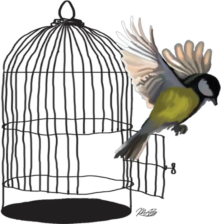  Caged Bird Transparent Background Bird Flying Out Of Cage Drawing Png Cage Transparent Background