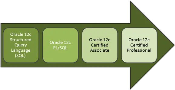  Download Hd Oracle Classes Path Oracle Database Vertical Png Oracle Icon Png