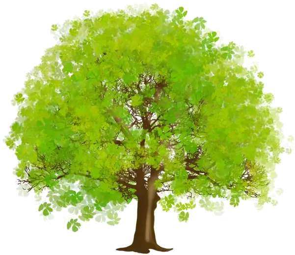  Arbre Tubes Png Ief Pinterest Arbretubespng Green Trees Clipart Tree Png Espn Png