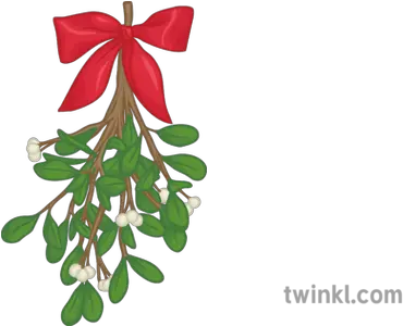  Mistletoe 2 Illustration Twinkl For Holiday Png Mistletoe Png