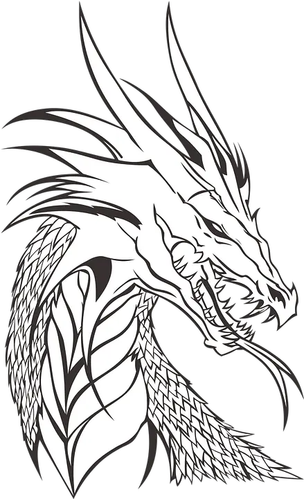  Download Hd Who Is Your Favorite Dragon Realistic Dragon Realistic Coloring Pages Dragon Png Head Png