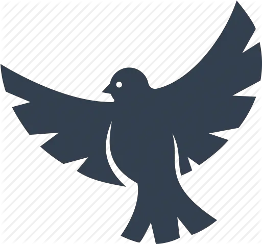  Dove Icon Png 13985 Free Icons Library Dove Icon Doves Flying Png