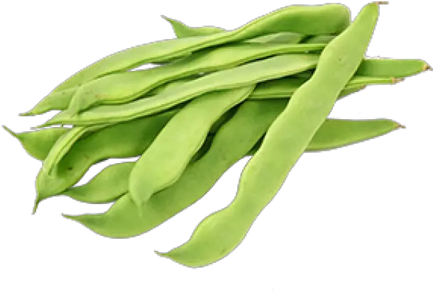  Bean Clipart Cowpea Hyacinth Beans Clipart Transparent Judia Verde Png Beans Transparent