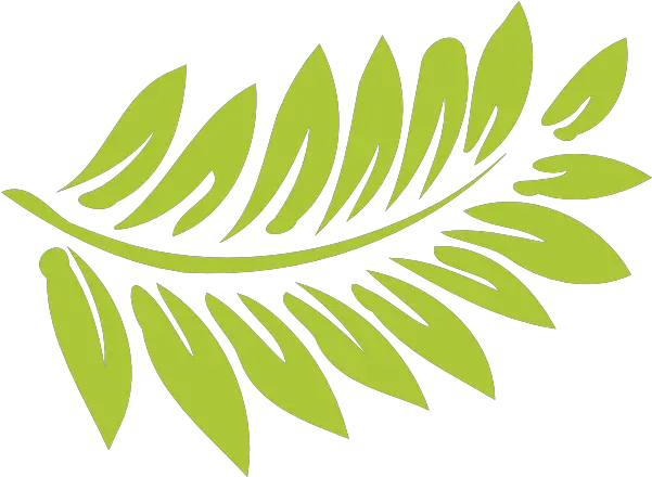  Daun Cartoon Png 6 Image Hibiscus Clip Art Plant Cartoon Png