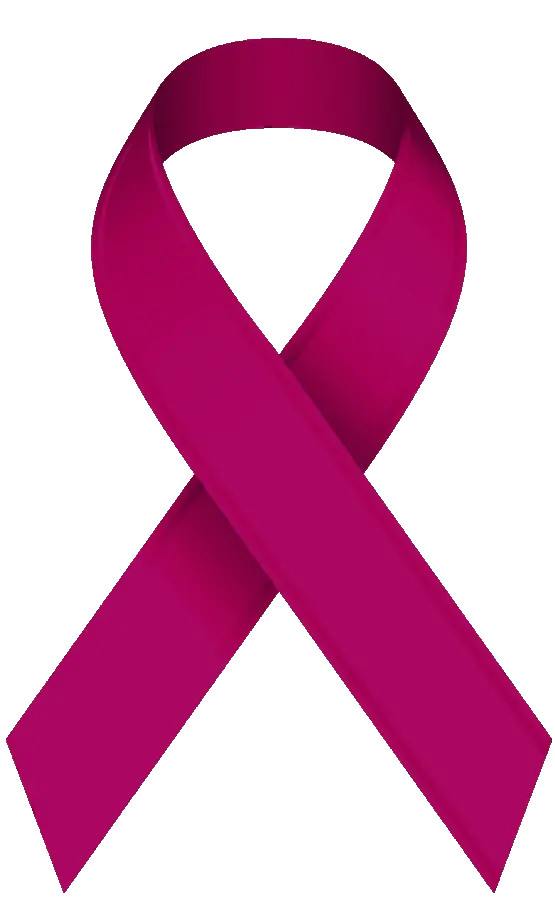  Download Burgundy Aware Breast Cancer Ribbon Clip Art Breast Cancer Dark Pink Ribbon Png Cancer Ribbon Transparent Background