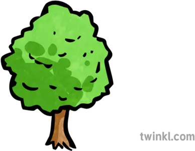  Tree Map Icon 1 Illustration Twinkl Icon Baum Png Map Icon Png