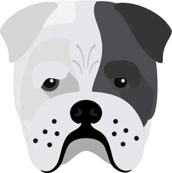  Create A Tailor Made Shop Just For Your Bull Pei Soft Png Bull Dog Icon