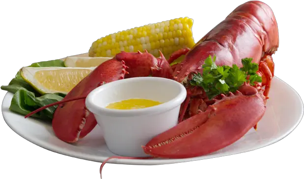  Buy Live Maine Lobster U0026 Fresh Seafood Online Cape Lobster On Plate Png Lobster Png