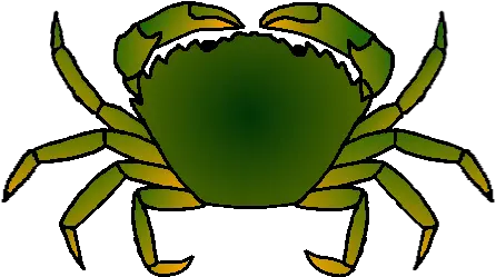  Fccp40 Fiddler Crab Clipart Png Today1580807984 Green Crab Clip Art Crab Transparent Background