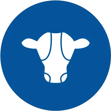  Committed To Low Carbon Dairying Nzmpcom Cow Png Cow Head Icon