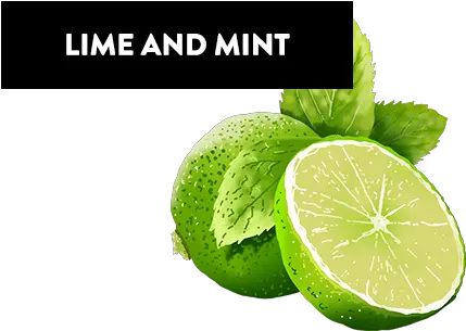  Index Of Wp Contentthemesvkimagesflavour Persian Lime Png Lime Png