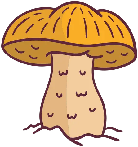  Caesar Mushroom Fungus Illustration Transparent Png U0026 Svg Wild Mushroom Mushroom Transparent