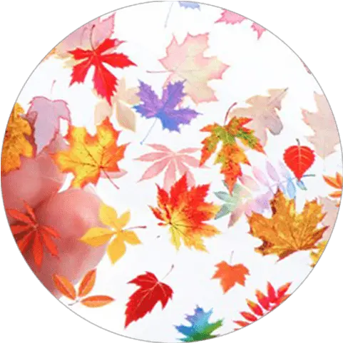  Fall Leaves Nail Art Png Fall Leaf Png