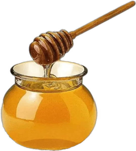  Mini Honey Dipper Transparent Png Honey Wand In Honey Honey Transparent Background