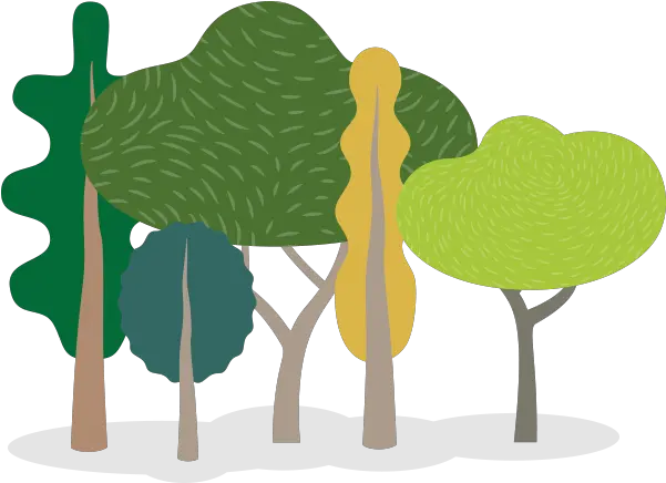  Today Is Arbor Day This Year There Wonu0027t Be Public Tree Illustration Png Group Of Trees Png