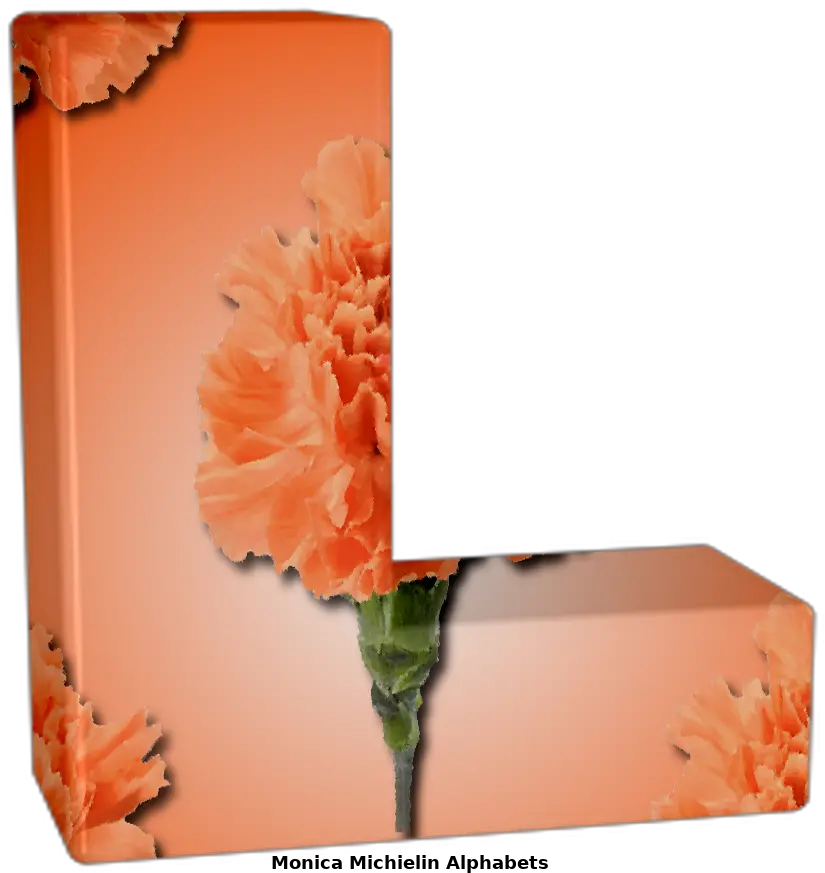  Monica Michielin Alphabets Orange Carnation Flower Alphabet Artificial Flower Png Letter L Icon