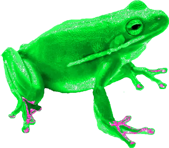  Frog Sticker Gif Gfycat Transparent Frog Animated Gif Png Pepe The Frog Transparent