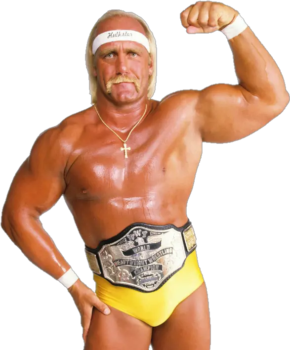  Hulk Hogan Wwf Champion Wwe Hulk Hogan Png Hulk Hogan Png