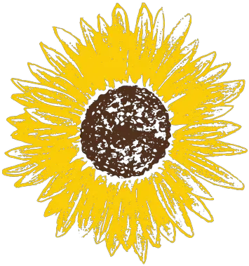  Home Pay It Forward Lvz Dot Png Sunflower Icon