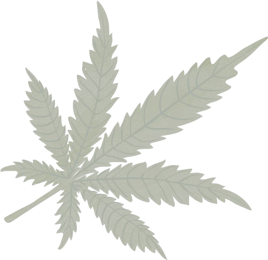  Leaf Cannabis Greenline Pos Fern Png Marijuana Leaf Transparent