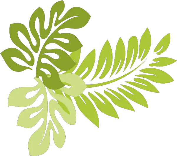  Spring Leaf Transparent Png Clip Art Tropical Leaf Clipart Leaves Clipart Png