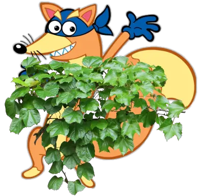  Swiper Now Has An Ivy Back End Or Emacs Dora The Explorer Png Ivy Png