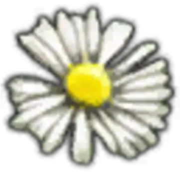  White Myrtle Petals Witcher Wiki Fandom Petal Png Flower Petal Png