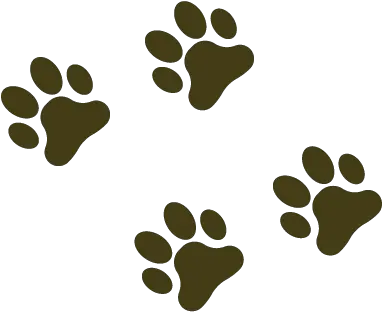  Paw Prints Left Clip Art Png Paw Prints Png