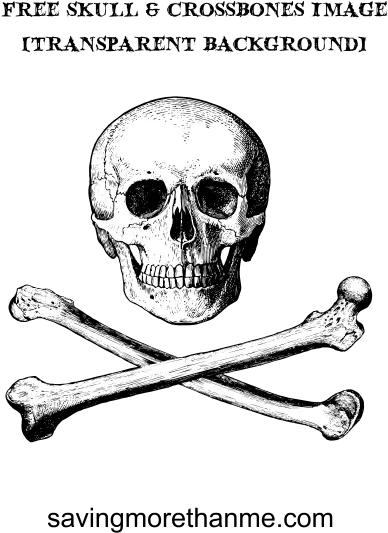  Free Skull And Crossbones Image Transparent Background Skull Front Png Skull And Crossbones Transparent Background