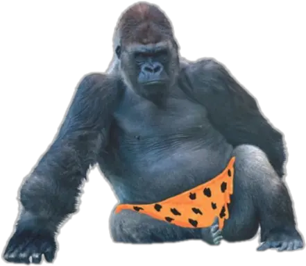  Monkey Orange Pants Gorilla Png Transparent Ape Png