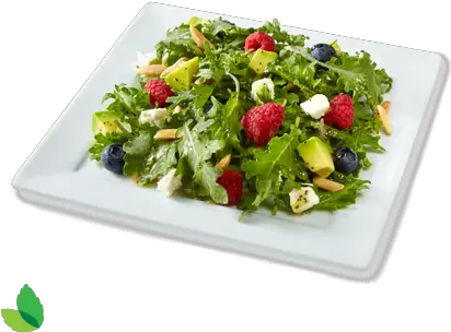  Avocado Salad Png Images Superfood Salad Transparent