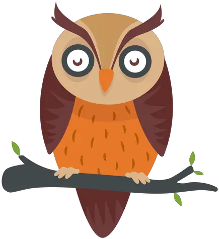  Owl Bird Cartoon Dibujos A Color Animados De Buho Png Owl Transparent