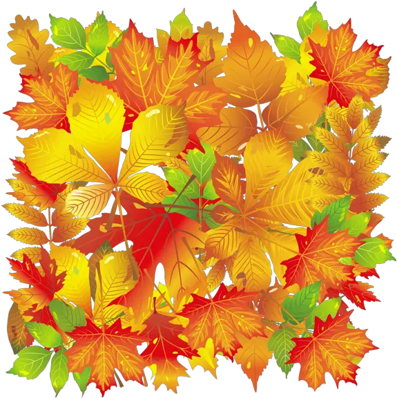  Transparent Fall Leaves Autumn Subway Art Png Leaf