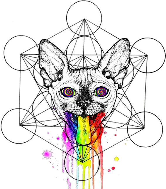  Unicorn Girl Galaxy Version Psyca Psychedelic Sphynx Cat Art Png Deviantart Icon Sizes For Folders