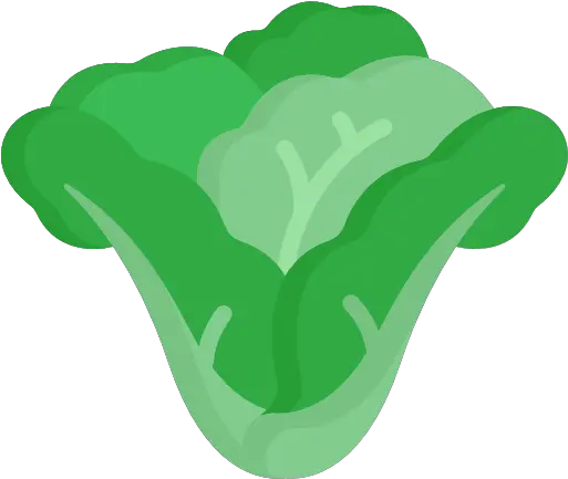  Lettuce Free Food Icons Lechuga Icono Png Lettuce Icon