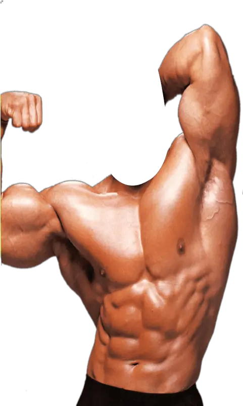  Png Background Lou Ferrigno Vs Arnold Body Builder Png