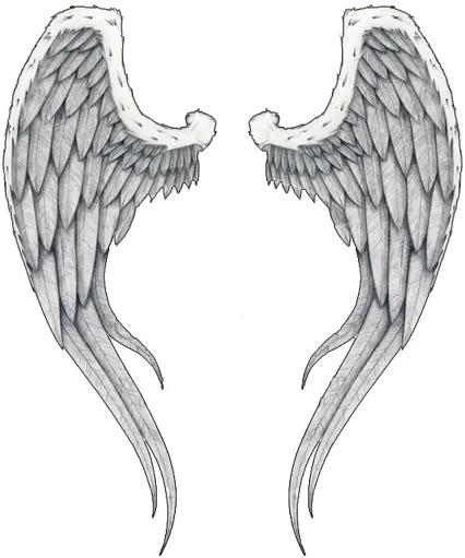  Wings Tattoos Png Transparent Images Best Angel Wings Png Demon Wings Png