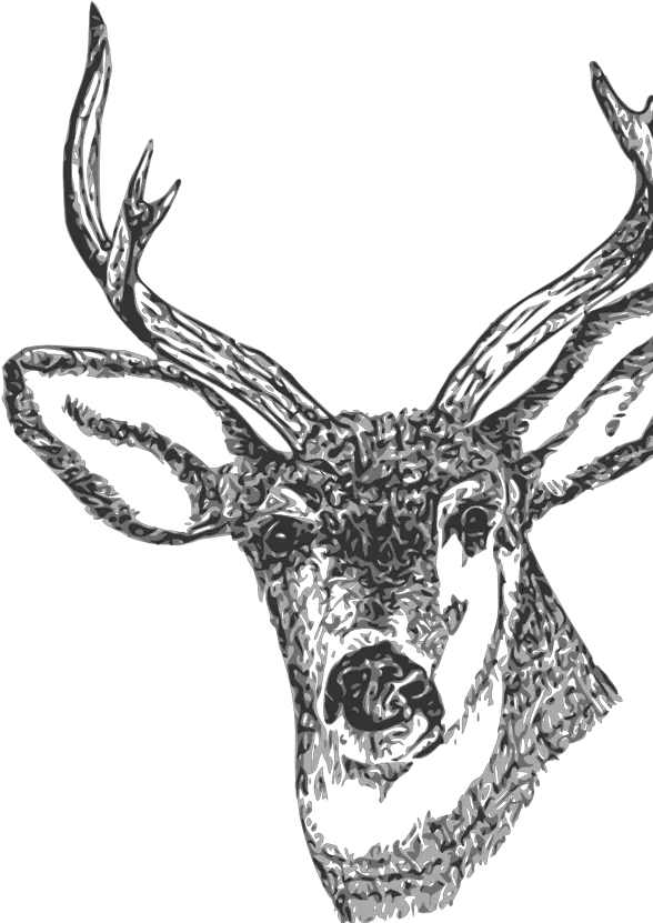  Deer Head Clip Art Small Drawing Of A Deer Head Png Deer Icon Tumblr